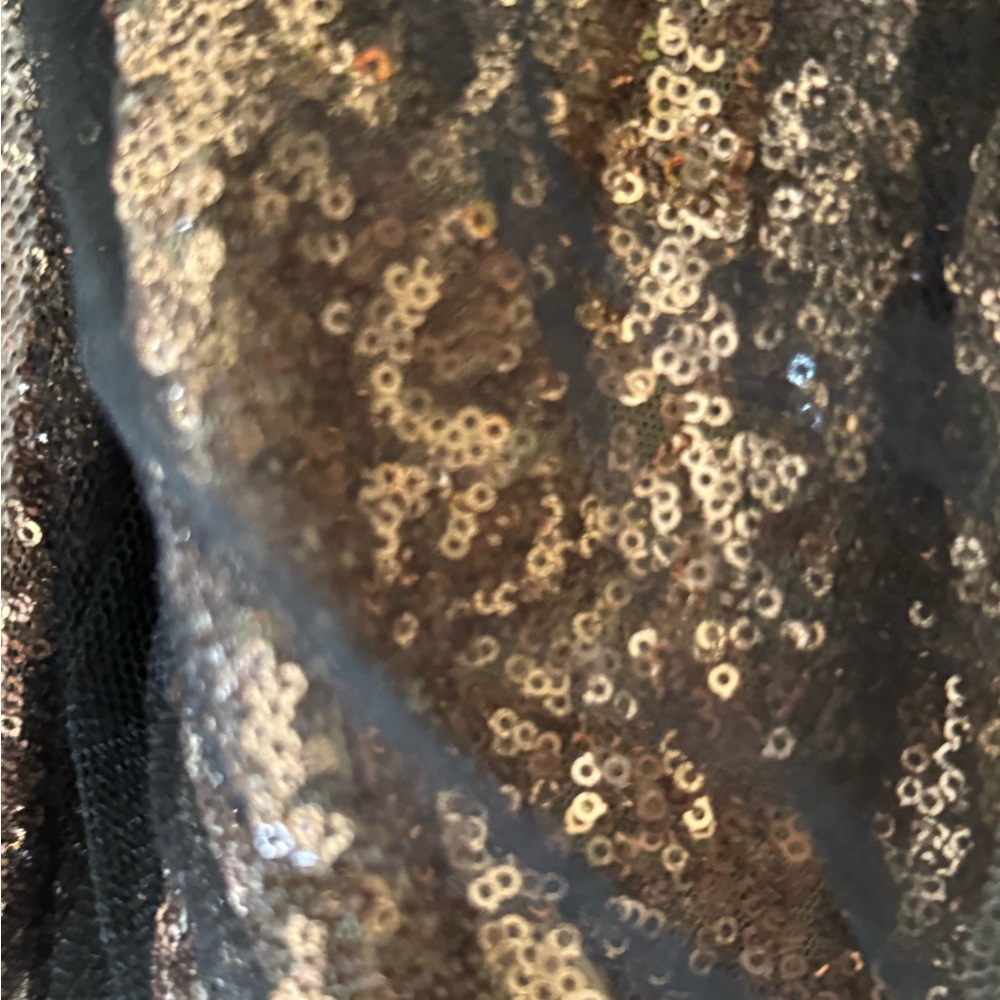 Anthropologie Greylin Tulle Gold Sequins Mini Skirt - Picture 11 of 11